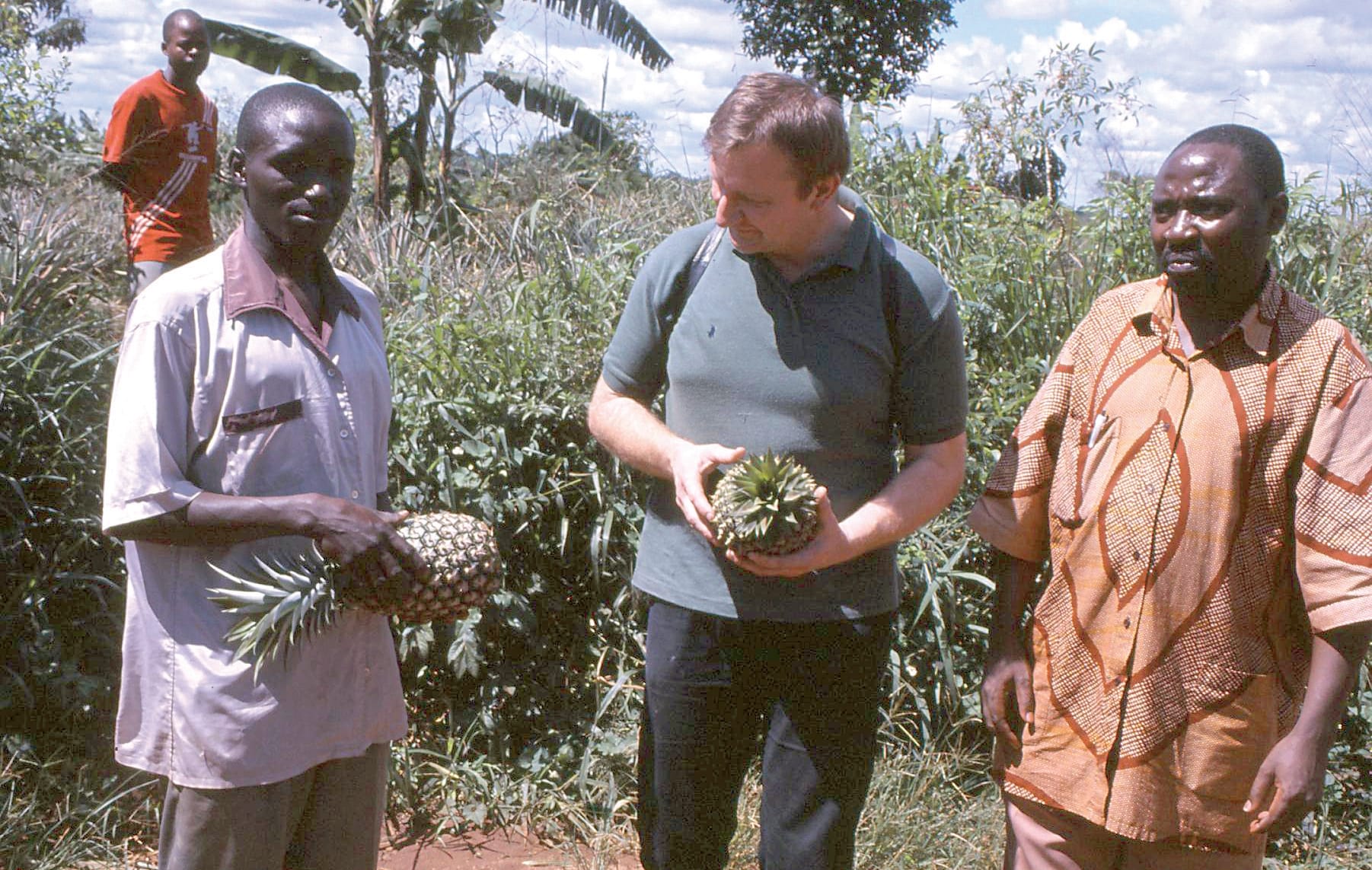 BioUganda Ltd. Ananasplantage