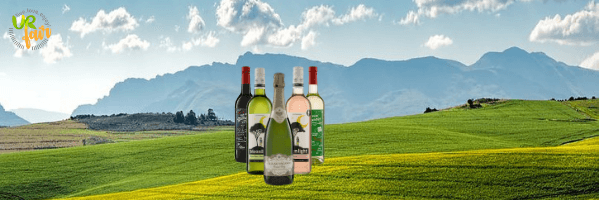 Produktübersicht für Fairtrade Bio Weine und Sekt von Stellar Organics aus Südafrika