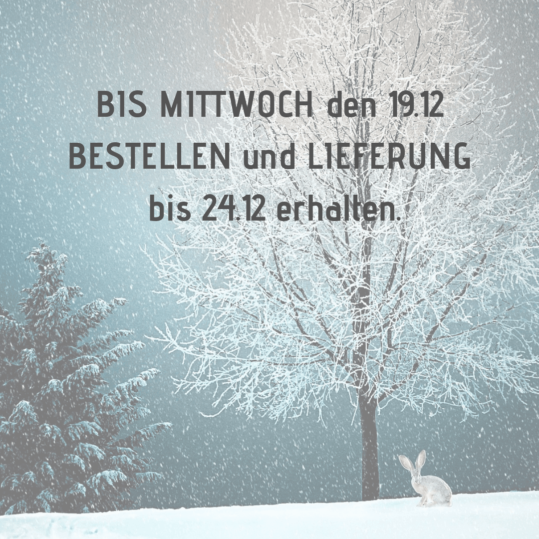 Lieferung Weihnachten 2018