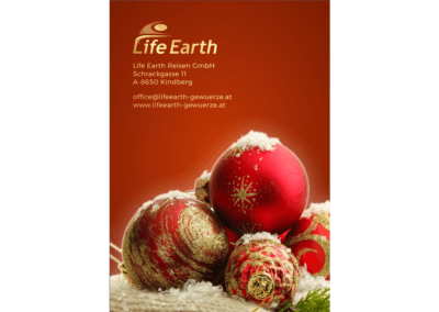 Life Earth Weihnachtsrezepte Download - Heft Seite 4