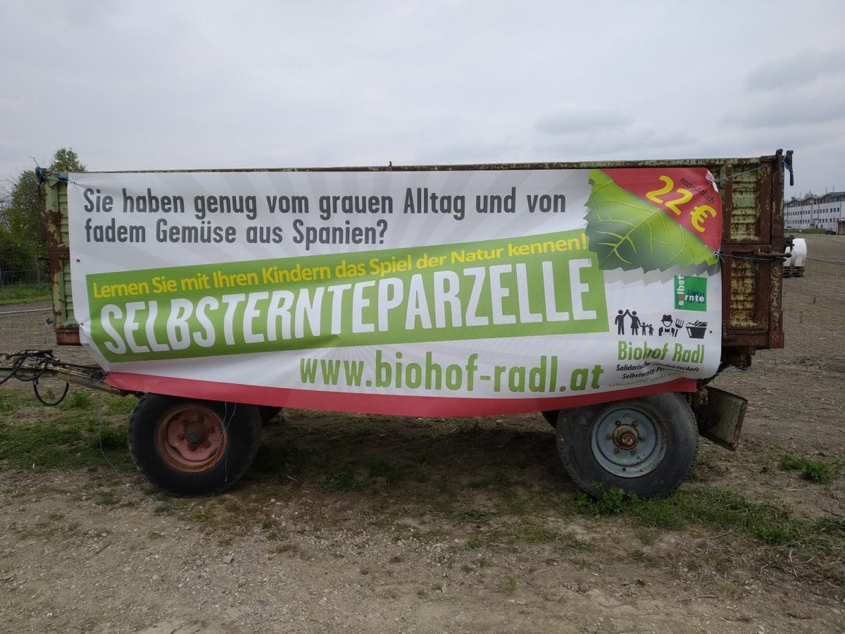 Urban Gardening in Wien: Bio Selbsternte Parzelle vom Biohof Radl (Plakat)