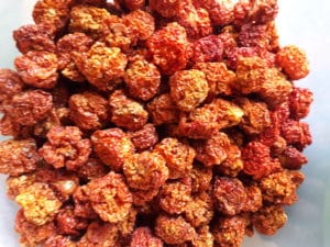 Getrocknete Chili der Sorte "Trinidad Scorpion" vom URfair Produzenten Biogemüse Hautzinger